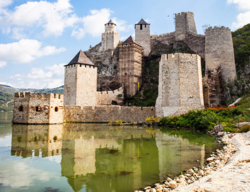 Aprire una Società in Serbia